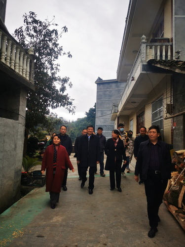 图片44