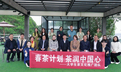 图片15