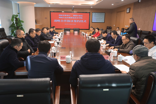 图片33