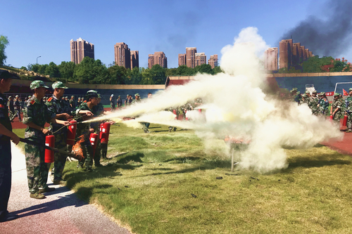 图片42