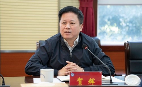 图片 31